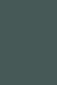 serica-matt-kombu-green-door