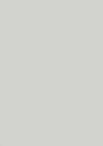 supermatt-light-grey-door